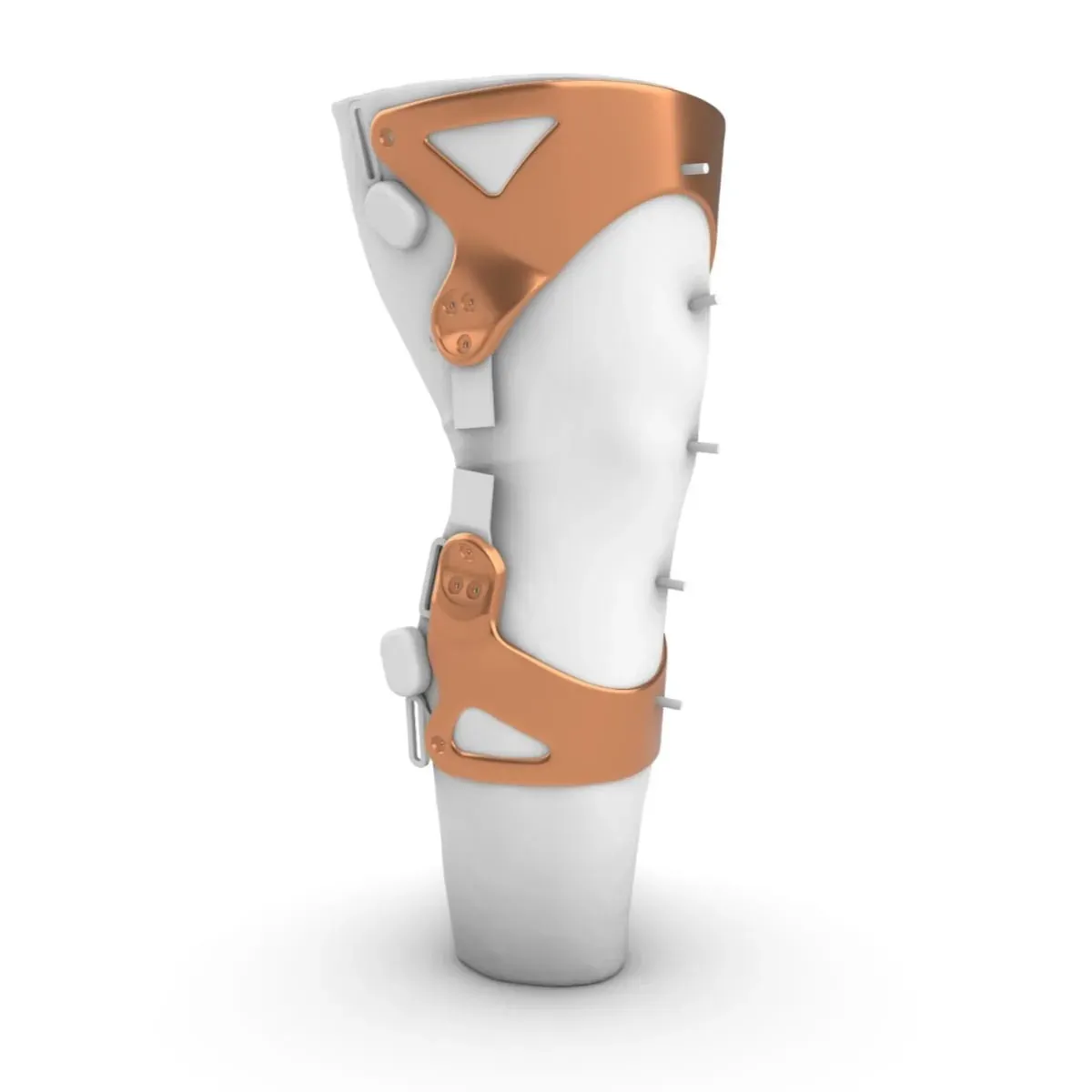 Model of a knee orthosis fitted to a scanned leg